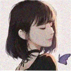 月光下的猫